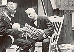 definition der osteopathie