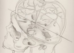 der organismus verfuegt ueber ein system der selbstregulierenden und selbstheilenden kraefte