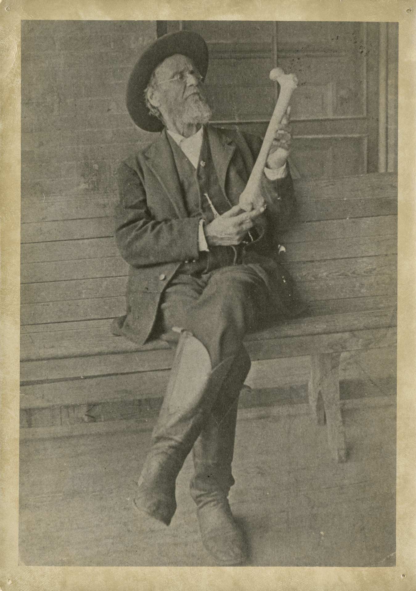 Osteopathie im Sinne Still